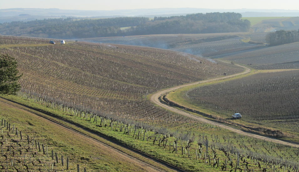 chablis wine feature view