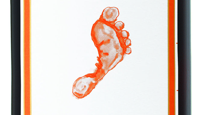 Barefoot wines Shiraz