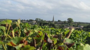 Sauternes village church from Château d’Arche
