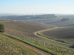 Jean-Marc Brocard domaine