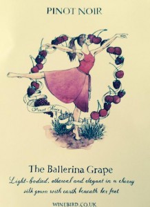In Winebird's Vinalogy pinot noir is the Ballerina