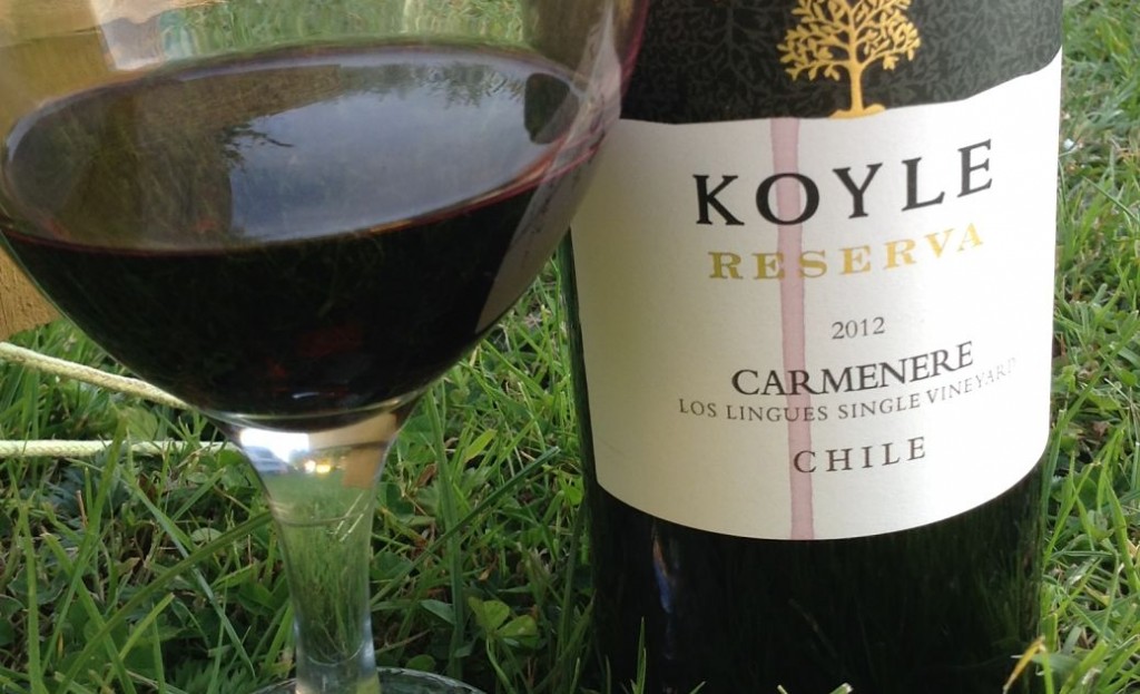 Carmenere and Chile wine review