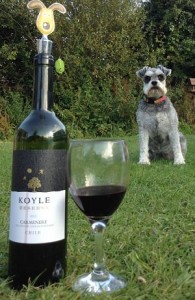 Koyle reserva carmenere wine review