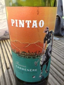 Pintao reserva carmenere wine review