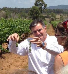 Neil McGuigan winemaker Hunter Valley vineyards