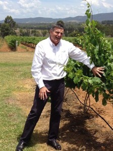 Neil McGuigan winemaker vineyards Hunter Valley