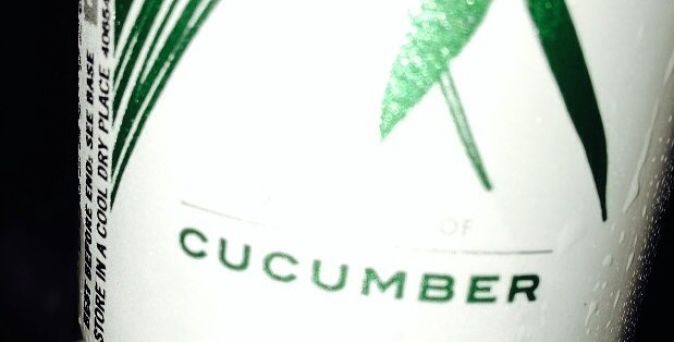 Cucumber gin and tonic review