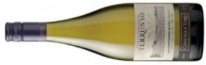 Concha y Toro Terrunyo Los Boldos Block 5 Sauvignon Blanc 2012