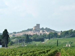 Châteauneuf-du-Pape 