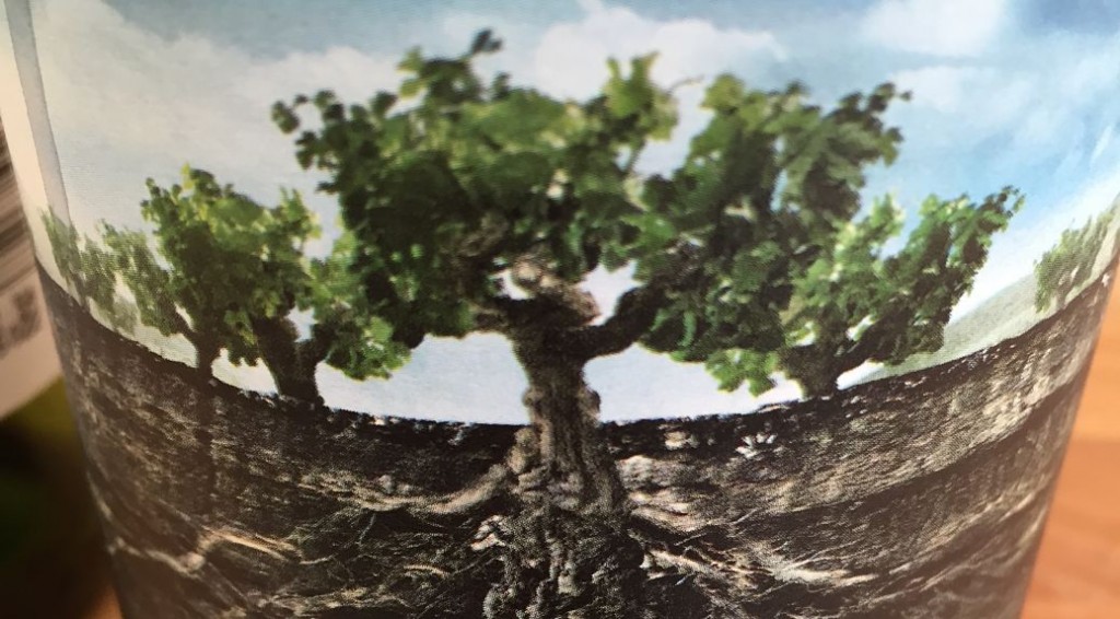 International Grenache Day, La Garnacha Salvaje del Moncayo 2014, Majestic