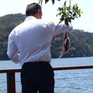 Sydney Tavel Review: Cottage Point Inn 