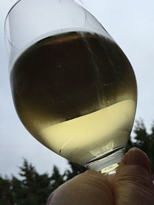 As soon as wine is opened it starts to interact with air