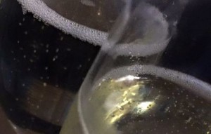 Christmas fizz, glass of bubbles