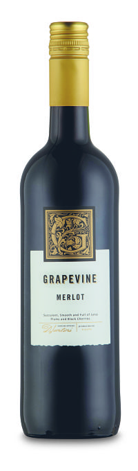 Wine Grape Vine - Merlot