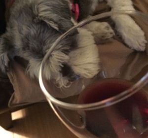 Wine Society twitter wine tasting