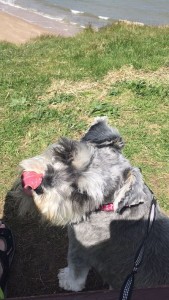 Solitude: The monthly wine writing challenge