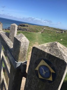 Solitude: The monthly wine writing challenge