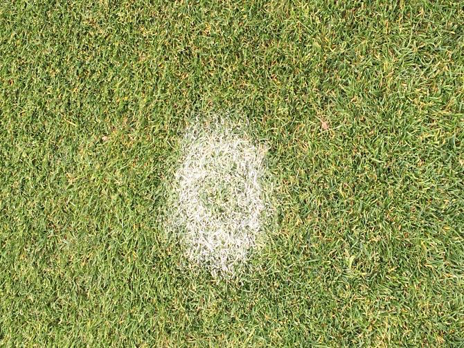 claretsgirl football wine