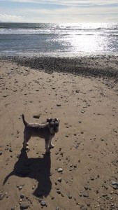 Monthly Wine Writing Challenge