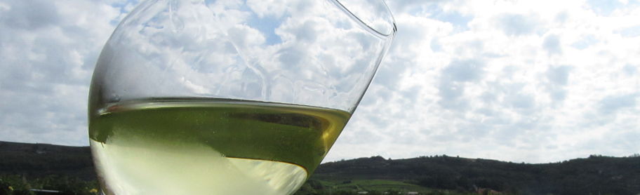 exploring soave wine