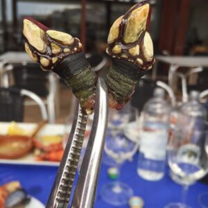 percebes rias baixas and albarino wine one foot in the grapes