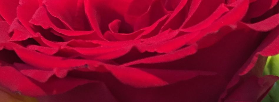 Valentine's Day wine