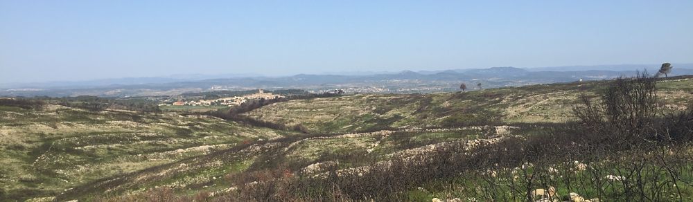 Domaines Paul Mas vineyards Jean-Claude Mas