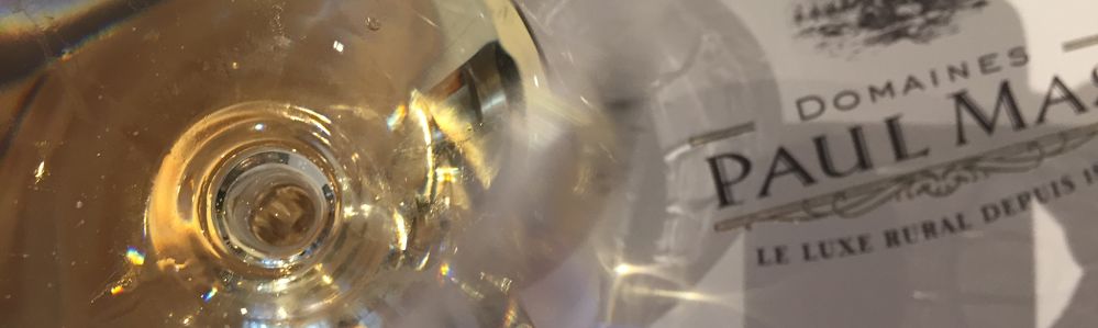 Domaines Paul Mas wine tasting