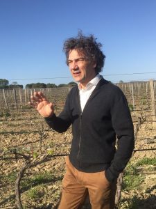Jean-Claude Mas vineyards