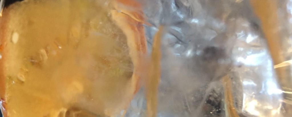 gin and tonic gin reviews