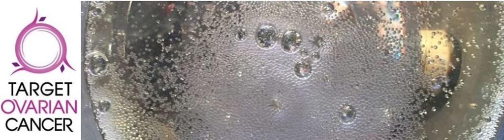 charity fizz night maghull