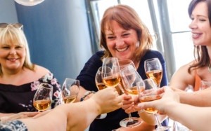 One Foot in the Grapes Jane Clare wine tasting in your own home