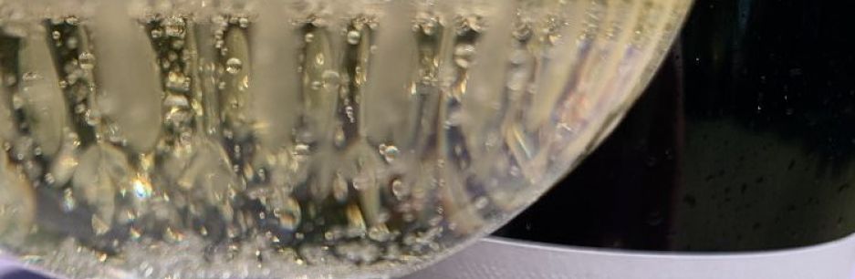 Gusbourne Blanc de Blancs English sparkling wine