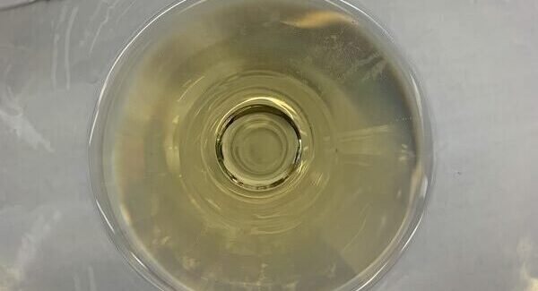 What are the wines of DO Rueda Jane Clare, One Foot in the Grapes