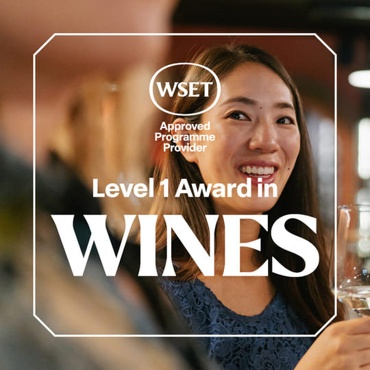 Study the WSET Level 1 Award in Wines with One Foot in the Grapes