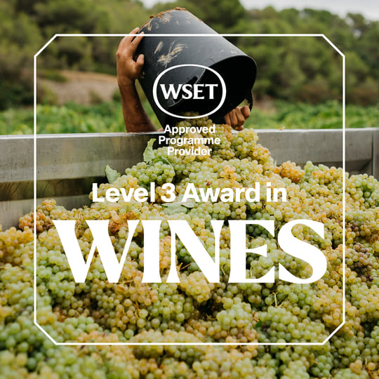 Study the WSET Level 3 Award in Wines in Liverpool